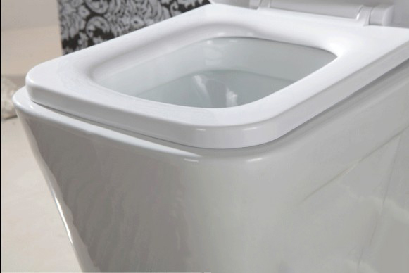 Унитаз электронный Bath front guards 838 Унитаз электронный Bath front guards 838