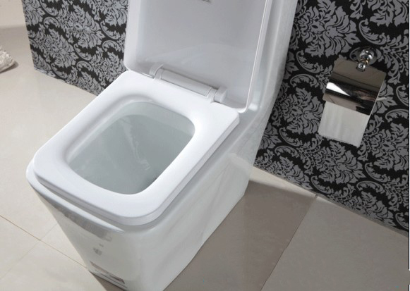 Унитаз электронный Bath front guards 838 Унитаз электронный Bath front guards 838