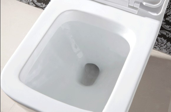 Унитаз электронный Bath front guards 838 Унитаз электронный Bath front guards 838