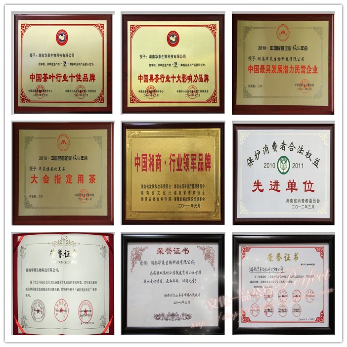 黑茶-安化黑茶批发 华莱健800克2009年荷香茯