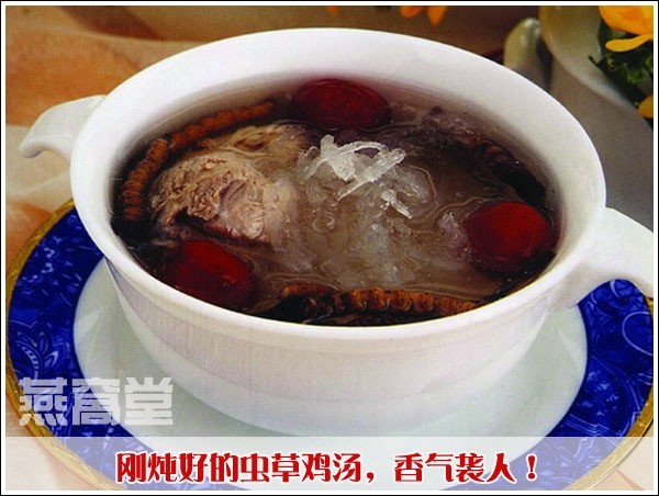 虫草炖鸡汤