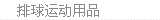 排球系列