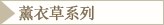 薰衣草系列