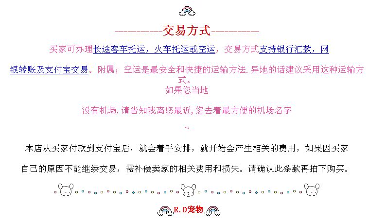 顽皮家族 出售纯种比熊幼犬 纯白色法国比熊犬