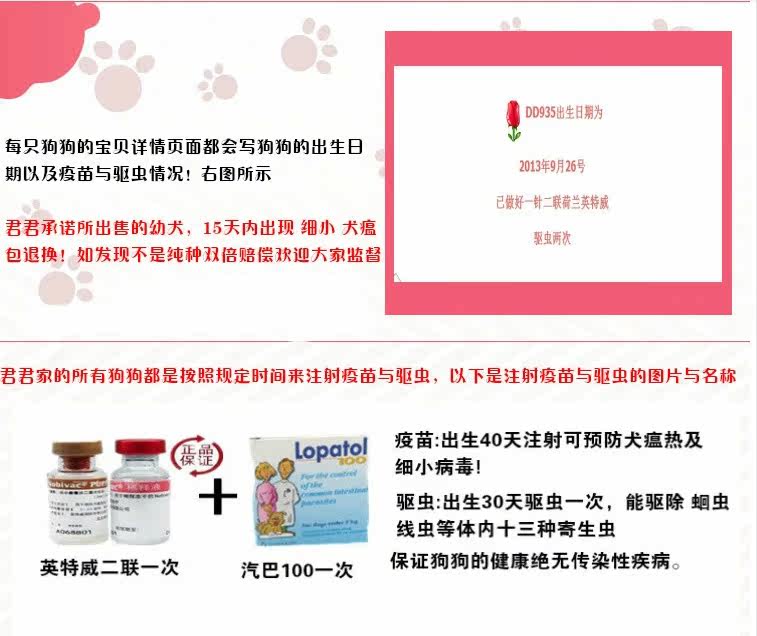 纯种大白熊名犬 首选东豪名犬基地！！！