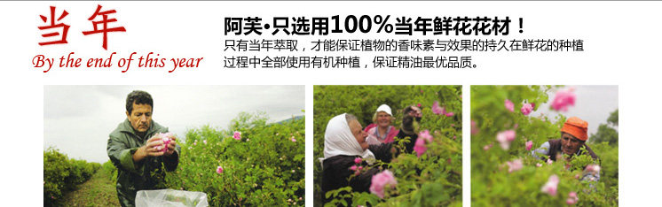 膜法世界 http://www.CoborMo.com 淘 淘宝 淘客 淘宝客 阿里 可贝尔 可贝尔官网 可贝尔官方网站
