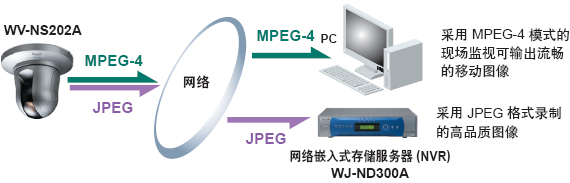 雙碼流輸出 (JPEG / MPEG-4)