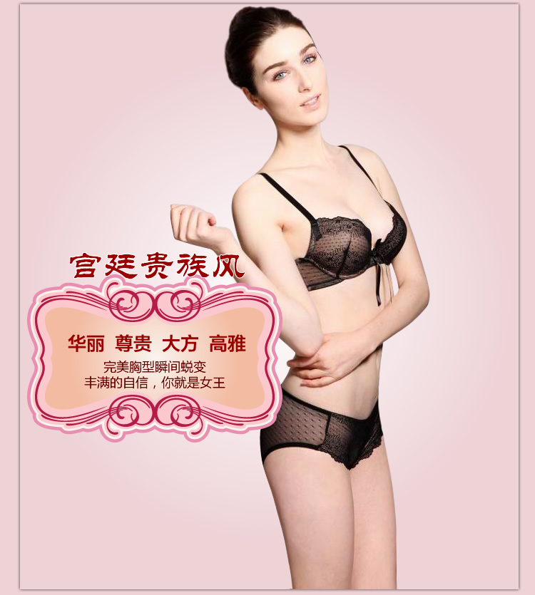 包邮<em>伊丝艾拉</em>正品<em>文胸</em>聚拢深V<em>刺绣</em>中模杯低心