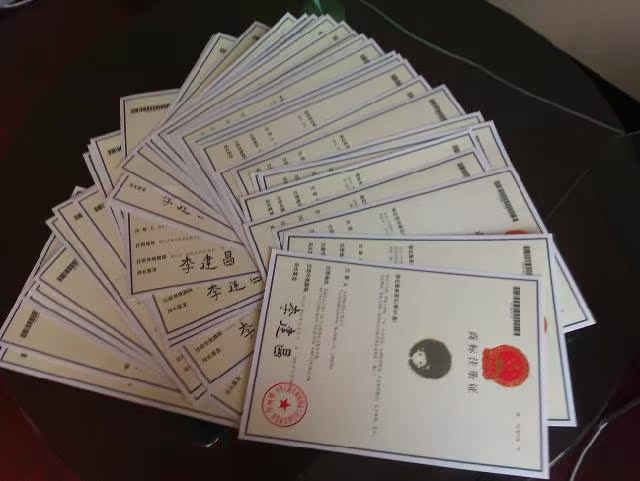 商标注册 专利申请 项目申报 公司注册