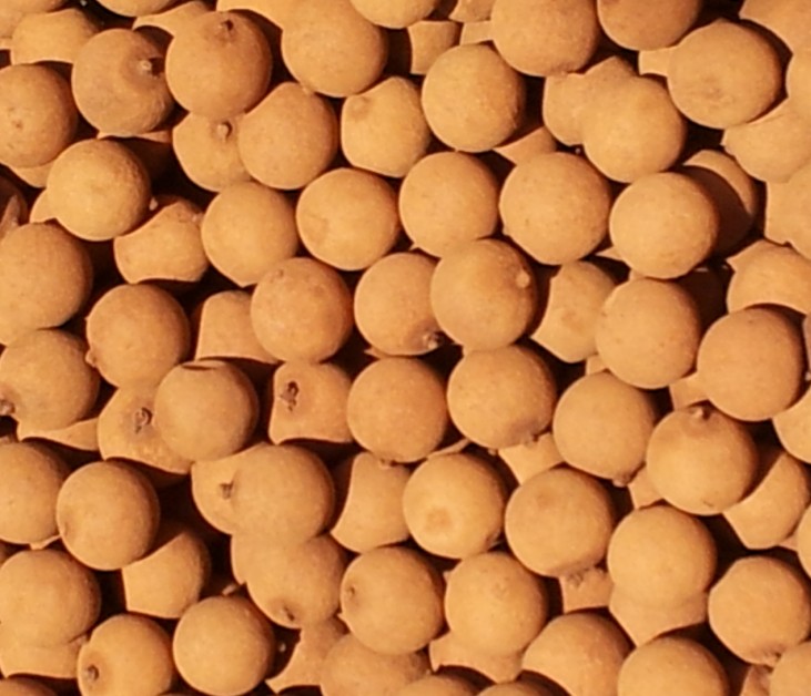 【正宗福建莆田龙眼干 桂圆干 大三元特级桂园