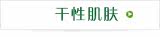 干性肌肤