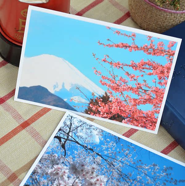 【富士山下的樱花 明信片 贺卡 8张入】