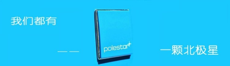 VOLVO Volvo Polaris mark     VOLVO   polestar mark   S60 / V60 / XC60 / S80 Modified standard