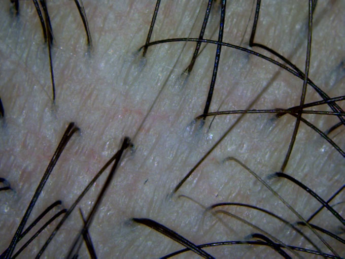 USB显微镜 放大镜 电路板检测 带测量\/带调光