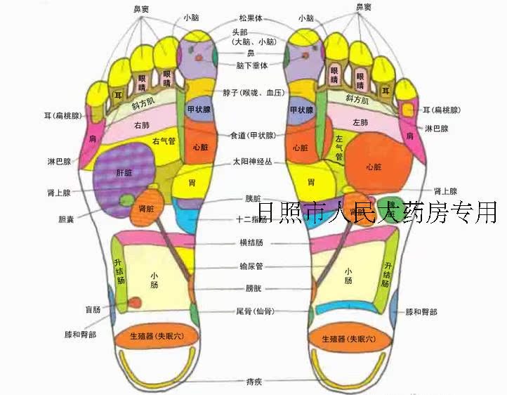药泡脚治百病 让脚吃药补气养血调 五脏六腑  治