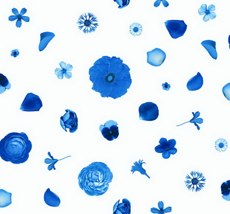 特朗斯福蓝色花朵德国防水涤纶印花浴帘180X200CM