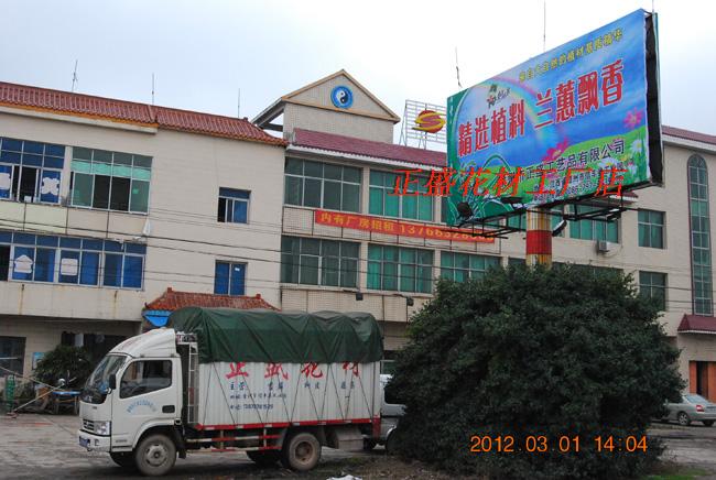 发酵树皮兰花植料蕙兰蝴蝶兰营养土(规格任选