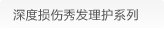 深度损伤秀发理护系列