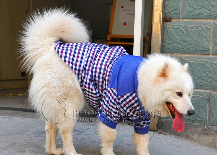 o宠物衣服狗狗夏装金毛萨摩耶中大型犬衬衫苏牧大狗衣服秋冬装 12y