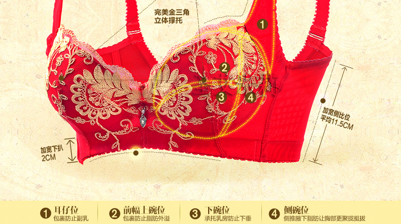 圣艾米莉 <em>专柜</em>正品 新款<em>品牌胸罩</em>凤凰传奇调整