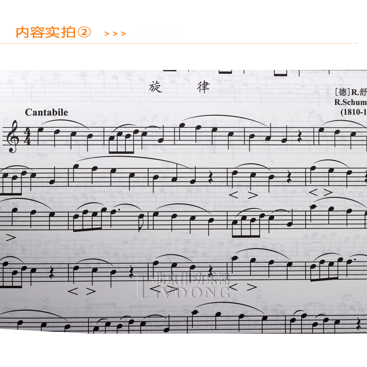 【最新正版长笛基础教程 初级自学基础书籍入