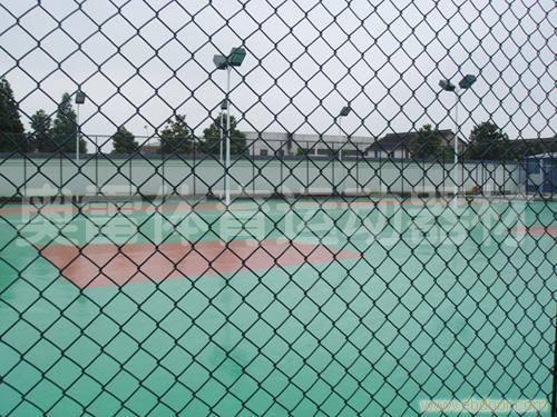 供应天津市承接球场围网 篮球场围网 安全网护