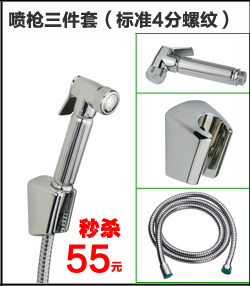 Биде 吉诺维斯 全铜冷热妇洗冲洗器小花洒洁身器二联水龙头带喷枪 Genovese