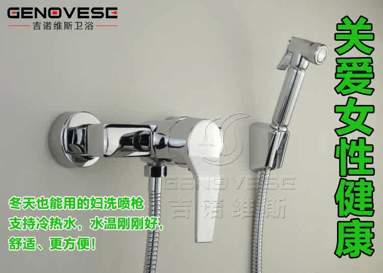 Биде 吉诺维斯 全铜冷热妇洗冲洗器小花洒洁身器二联水龙头带喷枪 Genovese