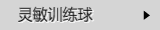 灵敏训练球