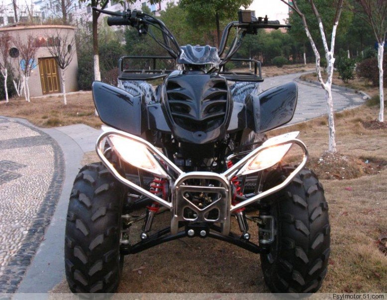 110CC大恐龙沙滩车\/沙滩摩托车\/四轮摩托车\/可