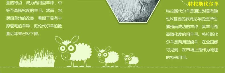 ковер 东升新西兰羊毛地毯欧式客厅茶几垫卧室床边满铺毯加密加大加厚款 Dongsheng XM/004