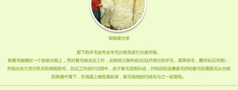 ковер 东升新西兰羊毛地毯欧式客厅茶几垫卧室床边满铺毯加密加大加厚款 Dongsheng XM/004