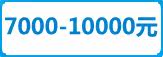 7000-10000元