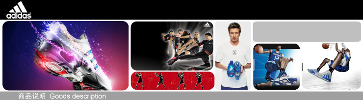 Спортивный пуховик Adidas 2013 G78741 Спортивный пуховик Adidas 2013 G78741