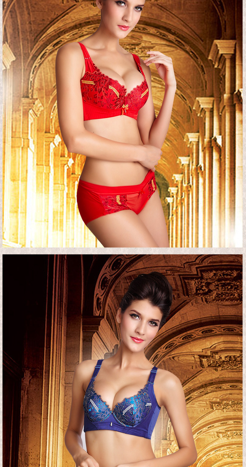 韩姿娜 秋冬<em>新款</em> 奢华刺绣 红色本命年<em>女士文胸</em>