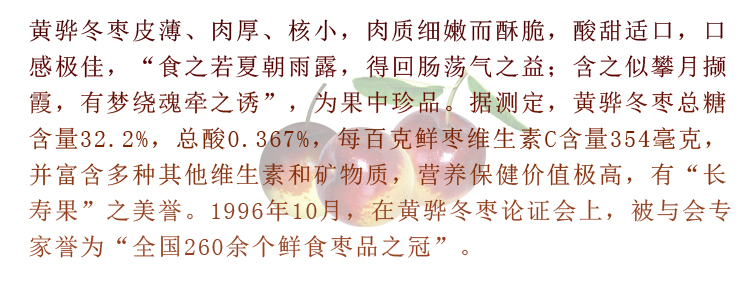 十月红 100%正宗黄骅冬枣 新鲜 鲜枣 脆甜五斤/箱 原产地发货 B果