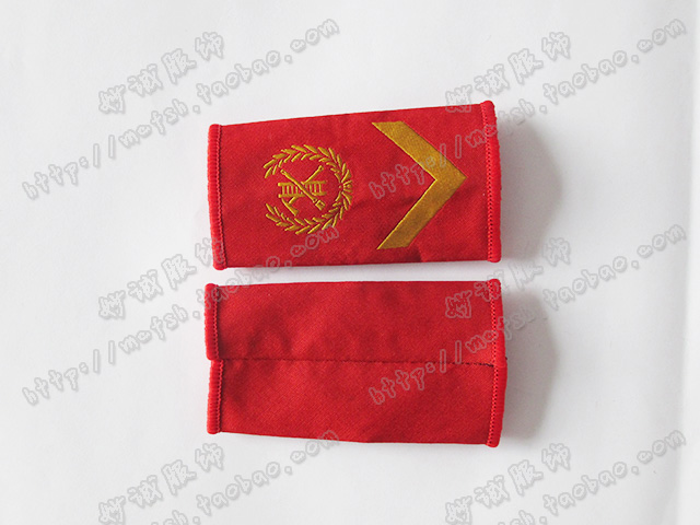 专职消防肩章胸标臂章领章胸章领花 帽徽 胸牌