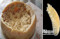 Casu Marzu：意大利蛆乳酪
Casu Marzu是一种被故意放养活蛆的奶酪。在经过高度的腐烂分解后，制成这种蝇蛆钻探、不断渗水的臭气弹。这种奶酪软软的，还具有奶油质地。我们会在婚礼或者家庭聚会上看到这种小吃。

---图片相关宝贝,点击【相关宝贝】直接购买---