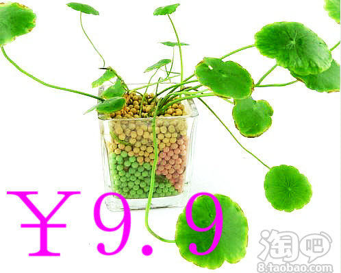 <em>女朋友本命年送什么</em>有创意的礼品-淘宝创意购