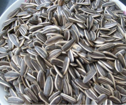 8种促进<em>头发生长的食物</em>,有掉发问题的姐妹吃起