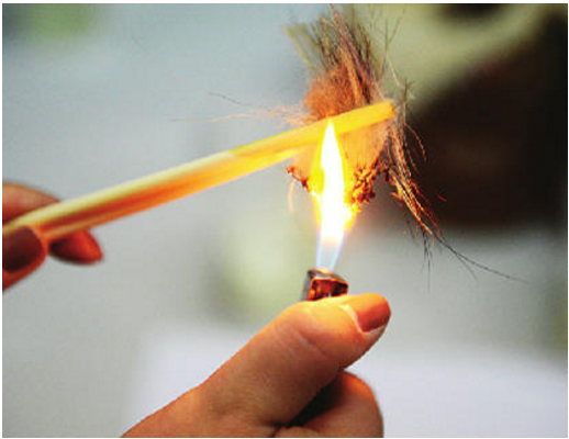 还你灭蟑螂真相!其实之前你们全被骗了