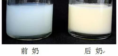 母乳路上的10个“谣言杀手”!– 妈妈在一起